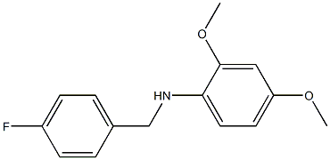 N-[(4-fluorophenyl)methyl]-2,4-dimethoxyaniline 结构式