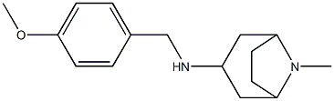 N-[(4-methoxyphenyl)methyl]-8-methyl-8-azabicyclo[3.2.1]octan-3-amine 结构式