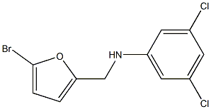 N-[(5-bromofuran-2-yl)methyl]-3,5-dichloroaniline 结构式