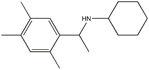 N-[1-(2,4,5-trimethylphenyl)ethyl]cyclohexanamine 结构式