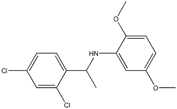 N-[1-(2,4-dichlorophenyl)ethyl]-2,5-dimethoxyaniline 结构式