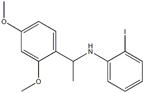 N-[1-(2,4-dimethoxyphenyl)ethyl]-2-iodoaniline 结构式