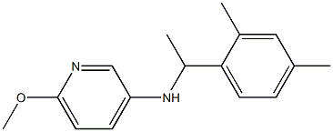 N-[1-(2,4-dimethylphenyl)ethyl]-6-methoxypyridin-3-amine 结构式