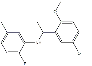 N-[1-(2,5-dimethoxyphenyl)ethyl]-2-fluoro-5-methylaniline 结构式