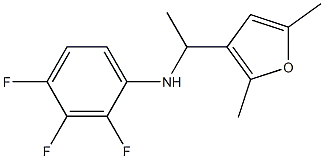 N-[1-(2,5-dimethylfuran-3-yl)ethyl]-2,3,4-trifluoroaniline 结构式