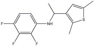 N-[1-(2,5-dimethylthiophen-3-yl)ethyl]-2,3,4-trifluoroaniline 结构式