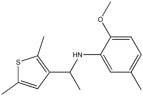 N-[1-(2,5-dimethylthiophen-3-yl)ethyl]-2-methoxy-5-methylaniline 结构式