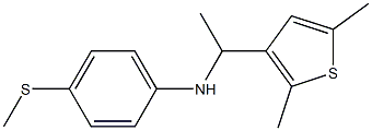 N-[1-(2,5-dimethylthiophen-3-yl)ethyl]-4-(methylsulfanyl)aniline 结构式
