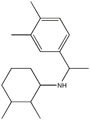 N-[1-(3,4-dimethylphenyl)ethyl]-2,3-dimethylcyclohexan-1-amine 结构式