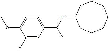 N-[1-(3-fluoro-4-methoxyphenyl)ethyl]cyclooctanamine 结构式