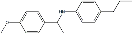 N-[1-(4-methoxyphenyl)ethyl]-4-propylaniline 结构式