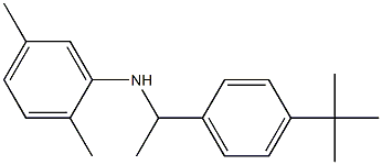 N-[1-(4-tert-butylphenyl)ethyl]-2,5-dimethylaniline 结构式