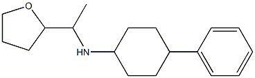 N-[1-(oxolan-2-yl)ethyl]-4-phenylcyclohexan-1-amine 结构式