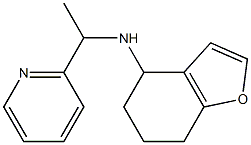 N-[1-(pyridin-2-yl)ethyl]-4,5,6,7-tetrahydro-1-benzofuran-4-amine 结构式