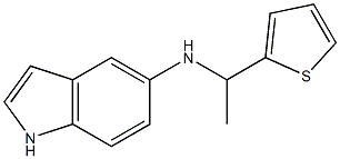 N-[1-(thiophen-2-yl)ethyl]-1H-indol-5-amine 结构式