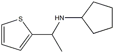 N-[1-(thiophen-2-yl)ethyl]cyclopentanamine 结构式