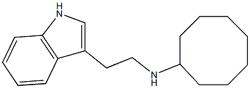 N-[2-(1H-indol-3-yl)ethyl]cyclooctanamine 结构式