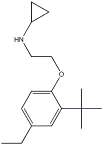 N-[2-(2-tert-butyl-4-ethylphenoxy)ethyl]cyclopropanamine 结构式