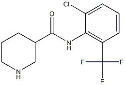 N-[2-chloro-6-(trifluoromethyl)phenyl]piperidine-3-carboxamide 结构式