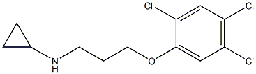 N-[3-(2,4,5-trichlorophenoxy)propyl]cyclopropanamine 结构式