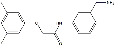 N-[3-(aminomethyl)phenyl]-2-(3,5-dimethylphenoxy)acetamide 结构式