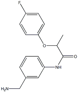 N-[3-(aminomethyl)phenyl]-2-(4-fluorophenoxy)propanamide 结构式