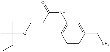 N-[3-(aminomethyl)phenyl]-3-[(2-methylbutan-2-yl)oxy]propanamide 结构式