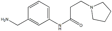 N-[3-(aminomethyl)phenyl]-3-pyrrolidin-1-ylpropanamide 结构式