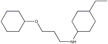 N-[3-(cyclohexyloxy)propyl]-4-ethylcyclohexan-1-amine 结构式