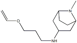 N-[3-(ethenyloxy)propyl]-8-methyl-8-azabicyclo[3.2.1]octan-3-amine 结构式