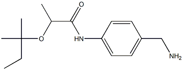 N-[4-(aminomethyl)phenyl]-2-[(2-methylbutan-2-yl)oxy]propanamide 结构式