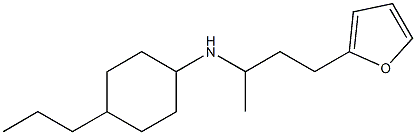 N-[4-(furan-2-yl)butan-2-yl]-4-propylcyclohexan-1-amine 结构式