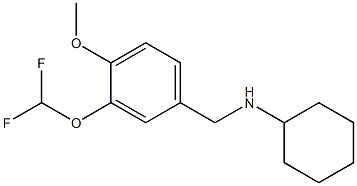 N-{[3-(difluoromethoxy)-4-methoxyphenyl]methyl}cyclohexanamine 结构式