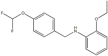 N-{[4-(difluoromethoxy)phenyl]methyl}-2-ethoxyaniline 结构式