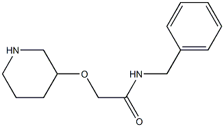 N-benzyl-2-(piperidin-3-yloxy)acetamide 结构式