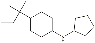 N-cyclopentyl-4-(2-methylbutan-2-yl)cyclohexan-1-amine 结构式