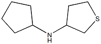 N-cyclopentylthiolan-3-amine 结构式