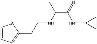 N-cyclopropyl-2-{[2-(thiophen-2-yl)ethyl]amino}propanamide 结构式