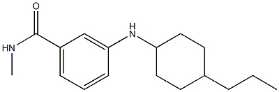 N-methyl-3-[(4-propylcyclohexyl)amino]benzamide 结构式