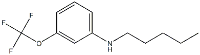 N-pentyl-3-(trifluoromethoxy)aniline 结构式