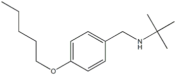 tert-butyl({[4-(pentyloxy)phenyl]methyl})amine 结构式