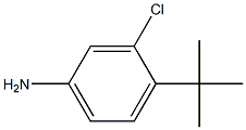 4-tert-butyl-3-chlorophenylamine 结构式