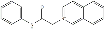 2-(2-anilino-2-oxoethyl)isoquinolinium 结构式