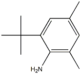 2-tert-butyl-4,6-dimethylaniline 结构式