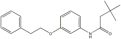 3,3-dimethyl-N-[3-(phenethyloxy)phenyl]butanamide 结构式