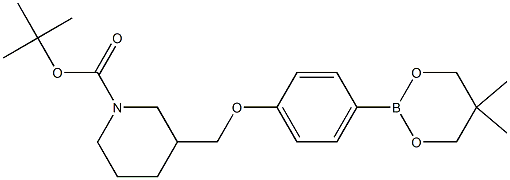 tert-Butyl 3-{[4-(5,5-dimethyl-1,3,2-dioxaborinan-2-yl)phenoxy]methyl}piperidine-1-carboxylate 结构式