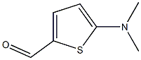 5-二甲氨基噻吩-2-甲醛 结构式