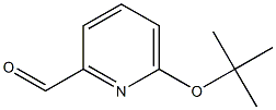 6-叔丁氧基吡啶-2-甲醛 结构式