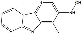 N-[4-Methyldipyrido[1,2-a:3',2'-d]imidazol-3-yl]hydroxylamine 结构式