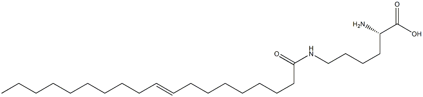 N6-(9-Nonadecenoyl)lysine 结构式